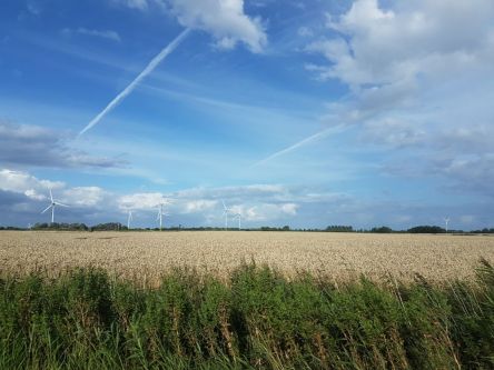 Norddeutschland, Felder mit Windrädern
